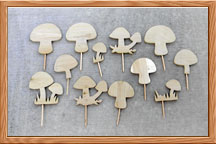 Mushrooms pieces cut